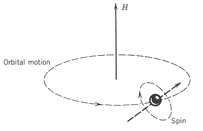 rotace elektronu podle spinu