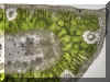 Detail pnho ezu jehlic borovice