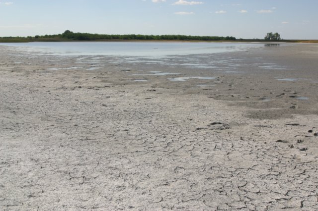 saltmarsh2.jpg