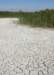 saltmarsh_small.jpg