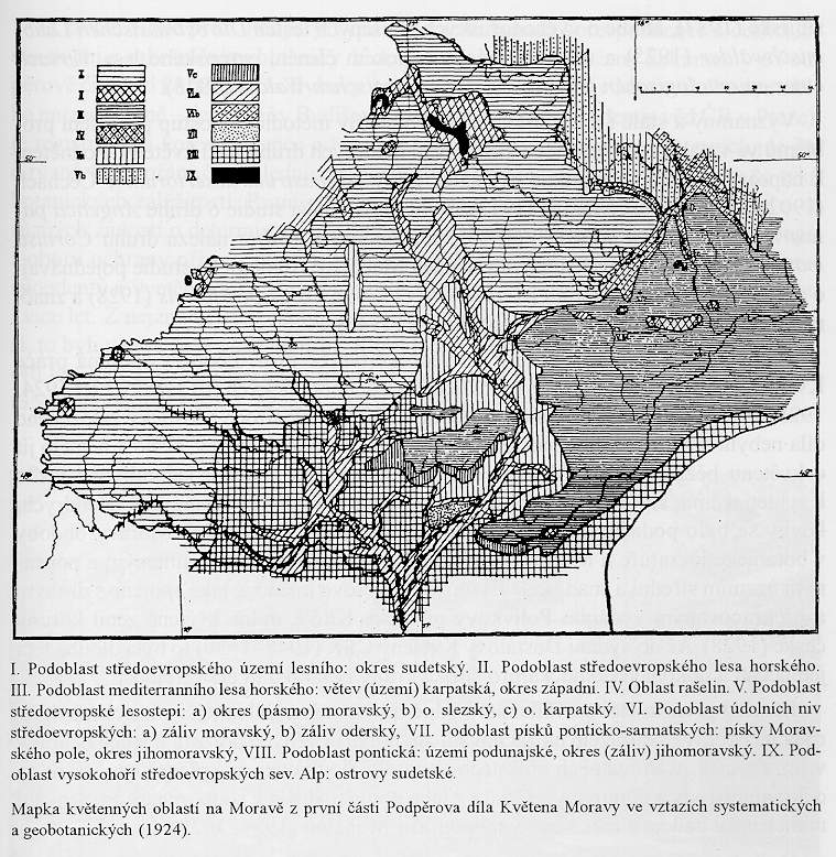 Mapka květenných oblastí na Moravě z první části Podpěrova díla Květena Moravy ve vztazích systematických a geobotanických (1924)