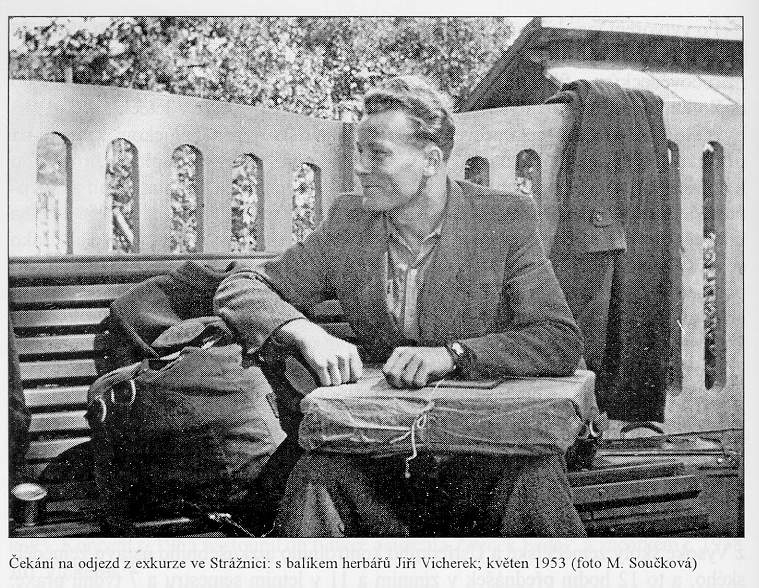 Čekání na odjezd z exkurze ve Strážnici: s balíkem herbářů Jiří Vicherek; květen 1953