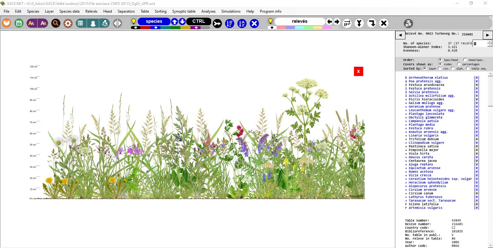 Vegetation profile example