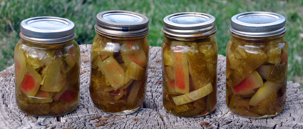 reflections on a gift of watermelon pickle analysis