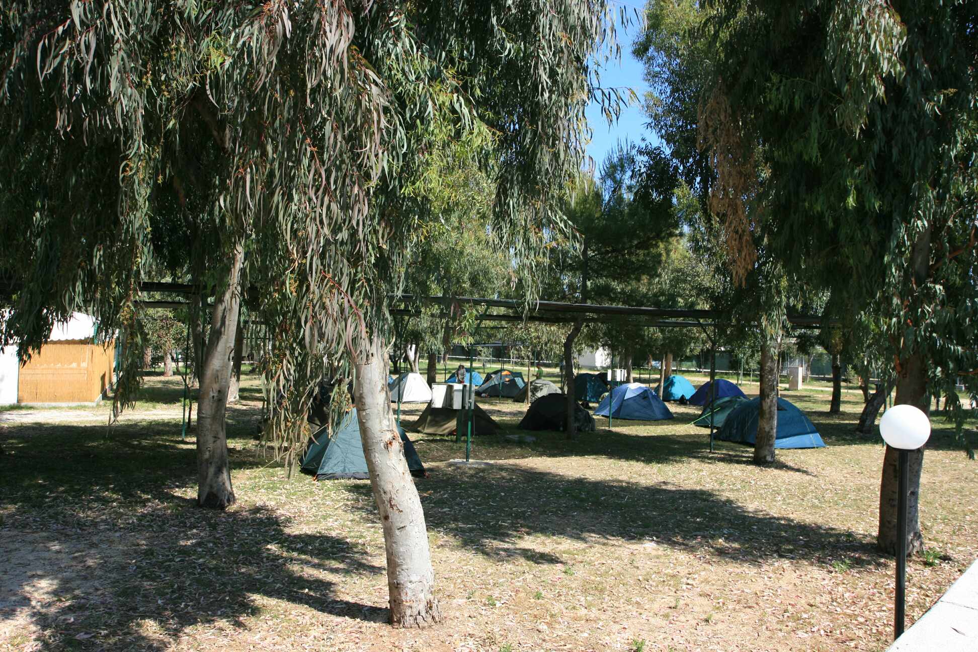 The camp