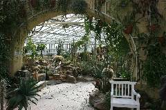 Greenhouse in Munich: the Cactaceae part