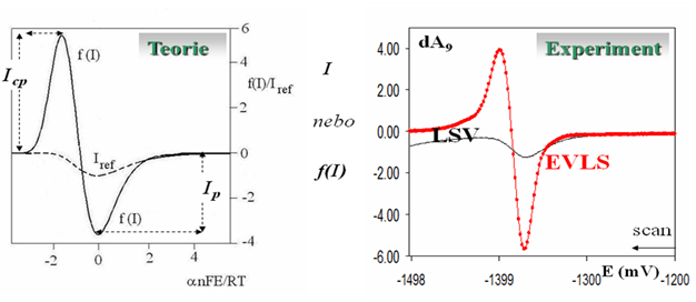 Eliminační voltametrie -  eliminace kinetického a kapacitního proudu se zachováním proudu difúzního. Teoretický výpočet  eliminačního signálu  (pík-protipík) a jeho experimentální verifikace  (homoODN dA9)
