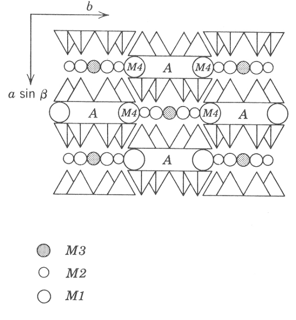 schma struktury amfibol