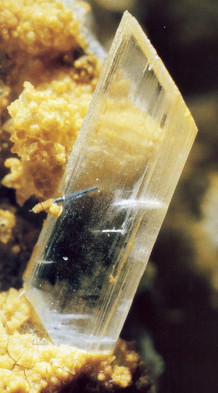 prhledn krystal sdrovce