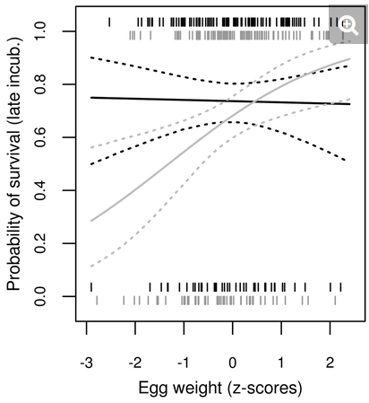 The hidden function of egg white antimicrobials: egg weight-dependent effects of avidin on avian embryo survival and hatchling phenotype