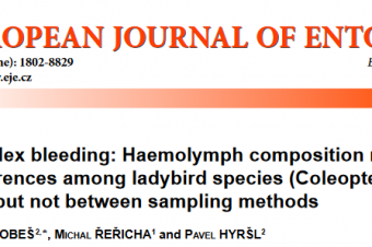 Puncture vs. reflex bleeding: Haemolymph composition reveals significant differences among ladybird species (Coleoptera: Coccinellidae), but not between sampling methods