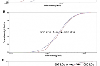 Absence of differences among low, middle, and high molecular weight hyaluronan in activating murine immune cells in vitro