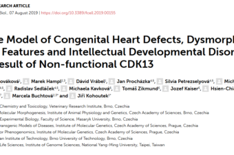 Mouse Model of Congenital Heart Defects, Dysmorphic Facial Features and Intellectual Developmental Disorders as a Result of Non-functional CDK13