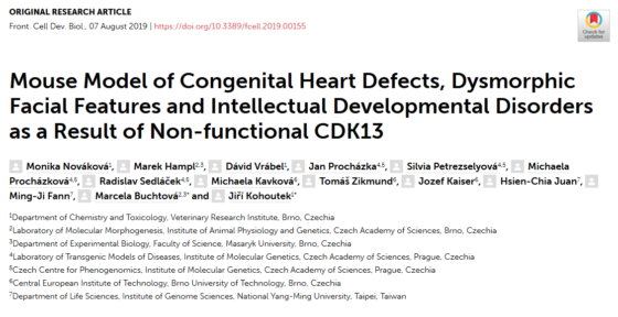 Mouse Model of Congenital Heart Defects, Dysmorphic Facial Features and Intellectual Developmental Disorders as a Result of Non-functional CDK13