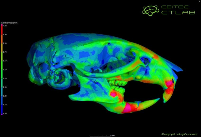 Laboratoř rentgenové počítačové tomografie ve spolupráci s OFIŽ hledá nové studenty!