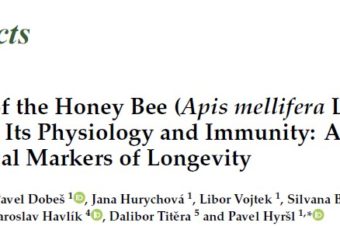The Year of the Honey Bee (Apis mellifera L.) with Respect to Its Physiology and Immunity: A Search for Biochemical Markers of Longevity