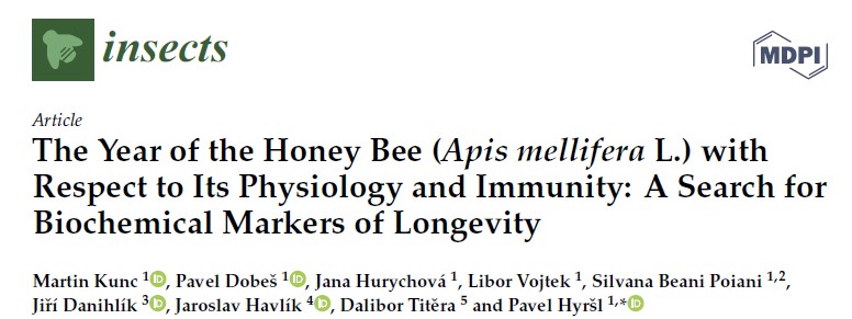 The Year of the Honey Bee (Apis mellifera L.) with Respect to Its Physiology and Immunity: A Search for Biochemical Markers of Longevity