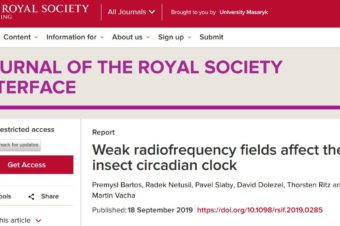 Weak radiofrequency fields affect the insect circadian clock