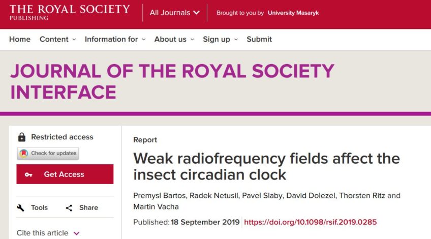 Weak radiofrequency fields affect the insect circadian clock