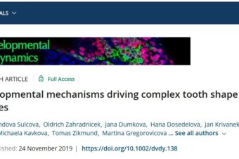 Developmental mechanisms driving complex tooth shape in reptiles