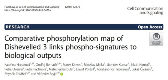 Comparative phosphorylation map of Dishevelled 3 links phospho-signatures to biological outputs.