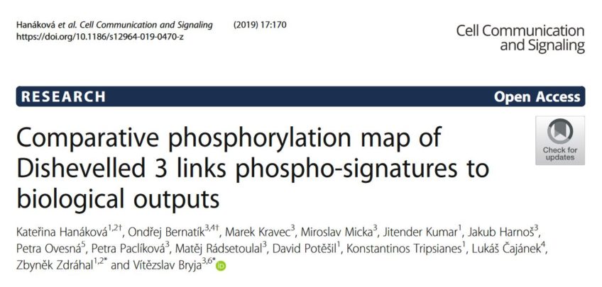 Comparative phosphorylation map of Dishevelled 3 links phospho-signatures to biological outputs.