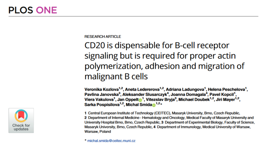 CD20 is dispensable for B-cell receptor signaling but is required for proper actin polymerization, adhesion and migration of malignant B cells