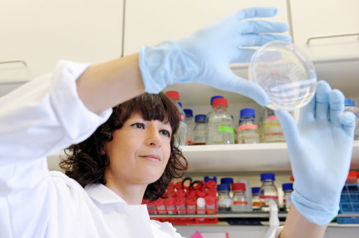 Visit of One of the Key Inventors of Crispr–Cas9 Technology – Prof. Emmanuelle Charpentier