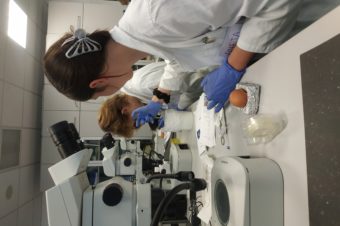 Embryology workshop for high school students