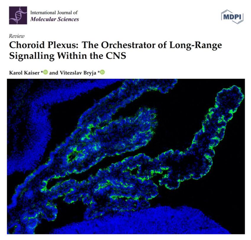 Choroid Plexus: The Orchestrator of Long-Range Signalling Within the CNS