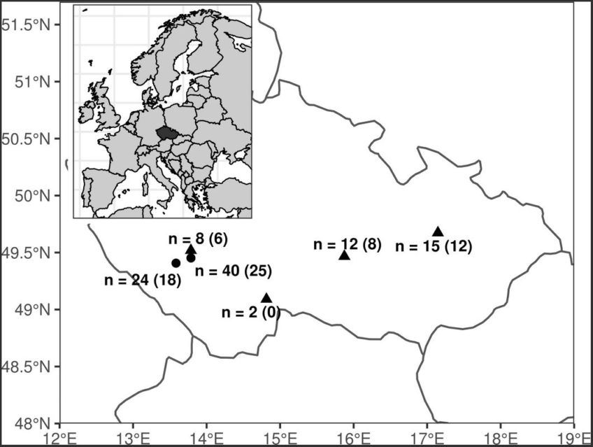 Differences in the growth rate and immune strategies of farmed and wild mallard populations