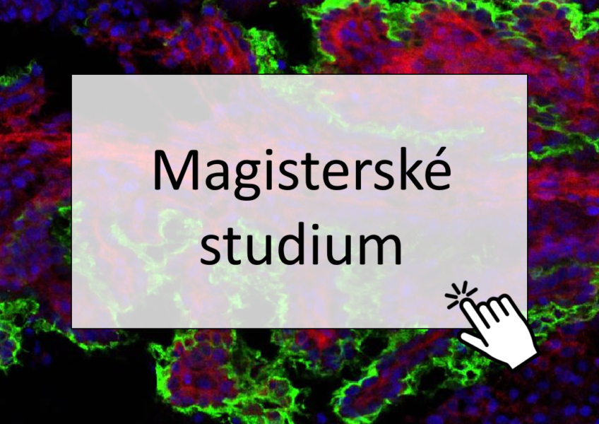 Nová podoba magisterských státních zkoušek