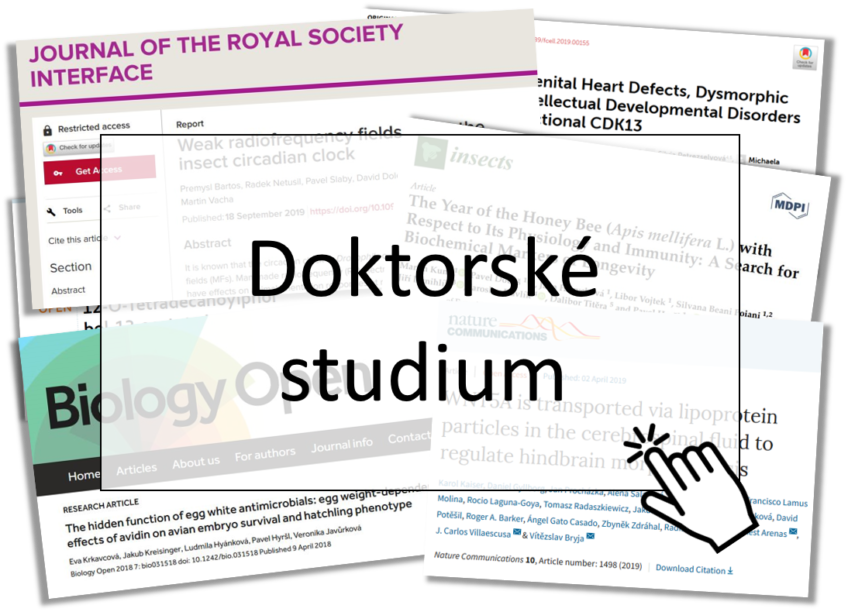 Updated Summary table for PhD studies