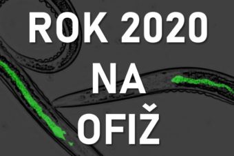 Ohlédnutí za rokem 2020