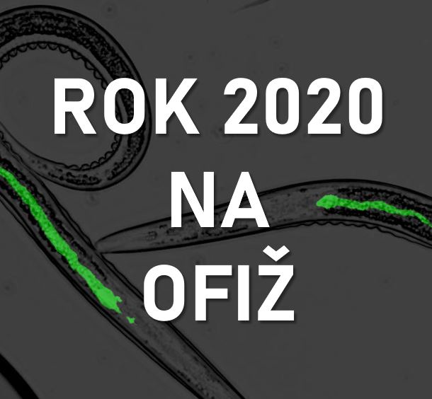 Ohlédnutí za rokem 2020