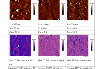 Conducting composite films based on chitosan or sodium hyaluronate. Properties and cytocompatibility with human induced pluripotent stem cells