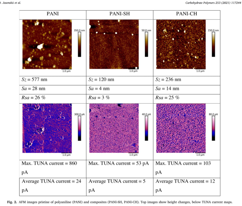 Conducting composite films based on chitosan or sodium hyaluronate. Properties and cytocompatibility with human induced pluripotent stem cells