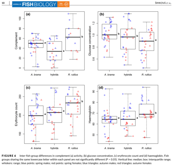 Vigour-related traits and immunity in hybrids of evolutionary divergent cyprinoid species: advantages of hybrid heterosis?