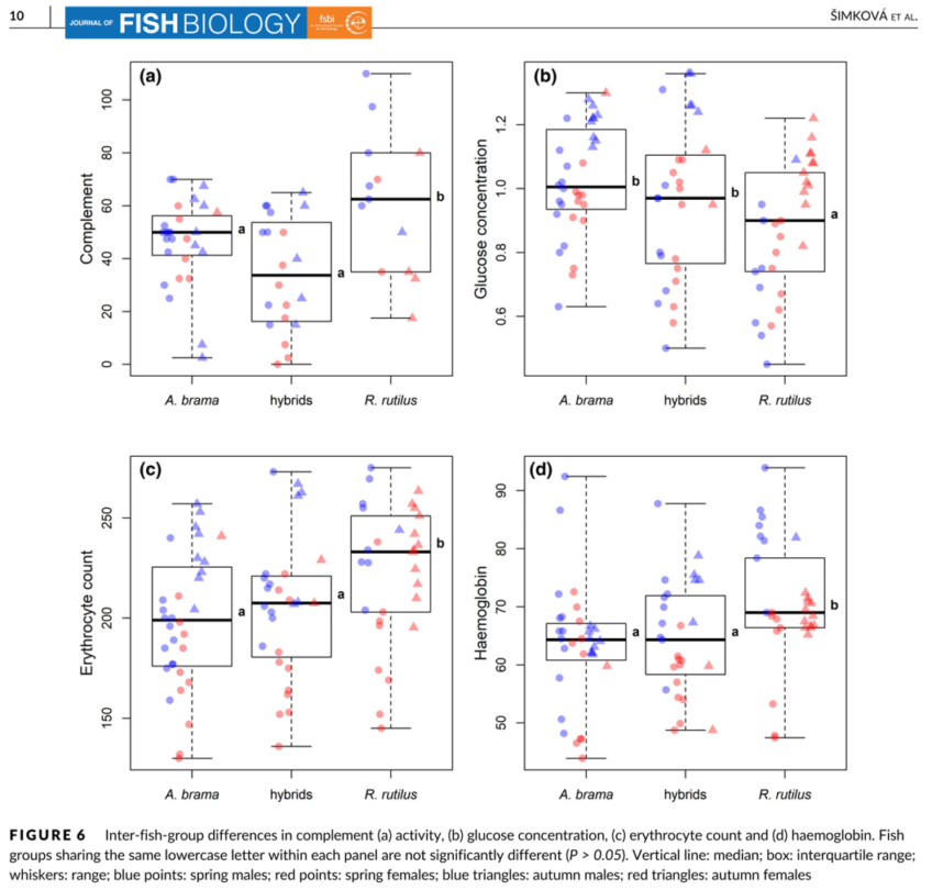 Vigour-related traits and immunity in hybrids of evolutionary divergent cyprinoid species: advantages of hybrid heterosis?