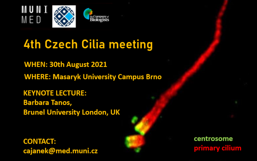 Invitation: 4th Czech Cilia Meeting, 30. 8. 2021
