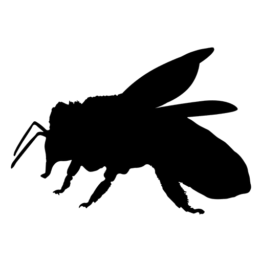 Článek o včelách ve světové desítce