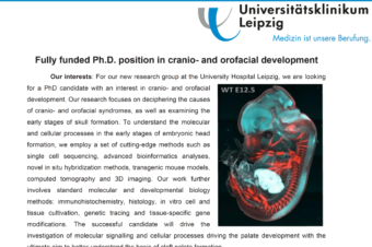 Nabídka PhD pozice v oblasti kranio- a orofaciálního vývoje