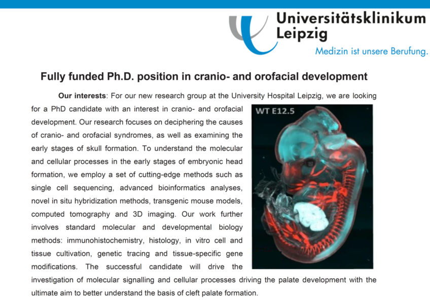Nabídka PhD pozice v oblasti kranio- a orofaciálního vývoje