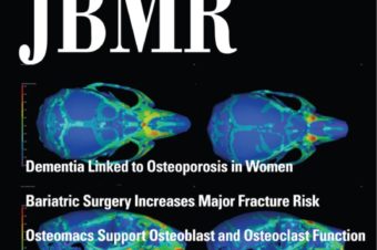Publikace M. Buchtové na přebalu časopisu Journal of Bone and Mineral Research!