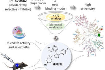 Discovery of Potent and Exquisitely Selective Inhibitors of Kinase CK1 with Tunable Isoform Selectivity