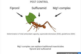 The Influence of Selected Insecticides on the Oxidative Response of Atta sexdens (Myrmicinae, Attini) Workers