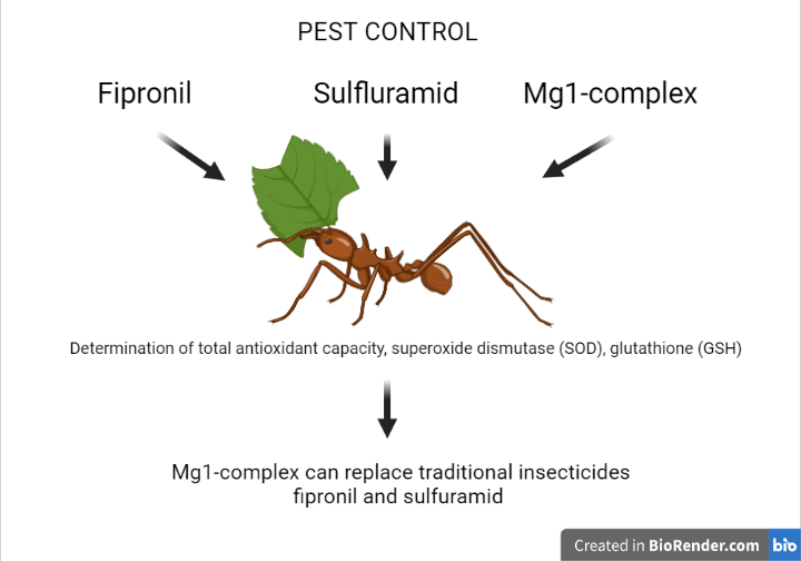 The Influence of Selected Insecticides on the Oxidative Response of Atta sexdens (Myrmicinae, Attini) Workers