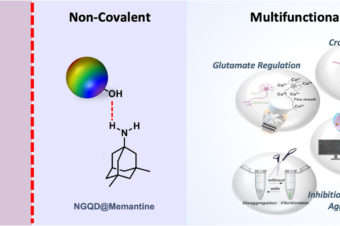 Multifunctional graphene quantum dots: A therapeutic strategy for neurodegenerative diseases by regulating calcium influx, crossing the blood-brain barrier and inhibiting Aβ-protein aggregation