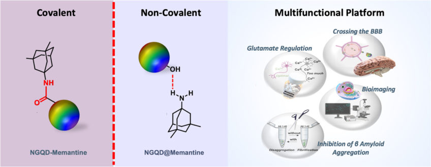 Multifunctional graphene quantum dots: A therapeutic strategy for neurodegenerative diseases by regulating calcium influx, crossing the blood-brain barrier and inhibiting Aβ-protein aggregation