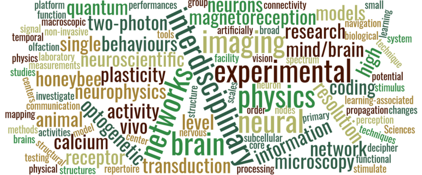 PhD position in Neuroscience (4-years) on Magnetoreception in Italy